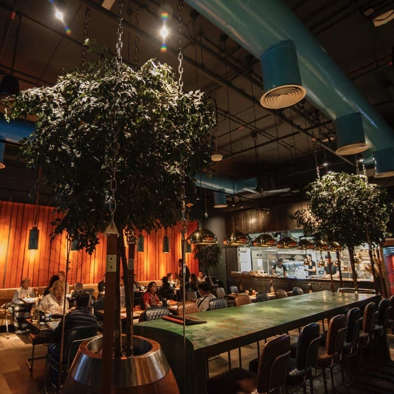 Argentina Grill - Vida Creek Harbour venue image