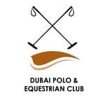 Splash Pool Bar - Dubai Polo & Equestrian Club logo