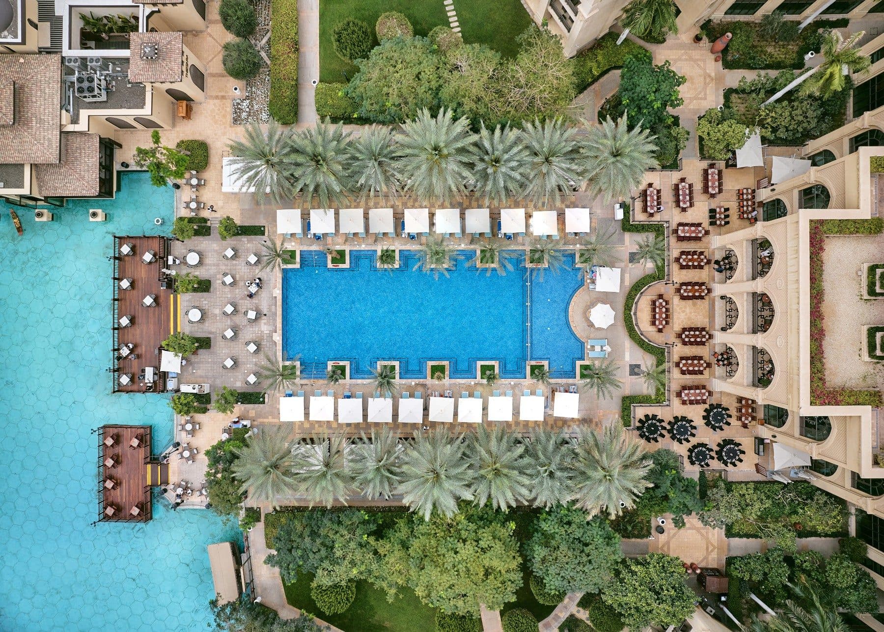 Poolside Bliss At Palace Downtown deal image