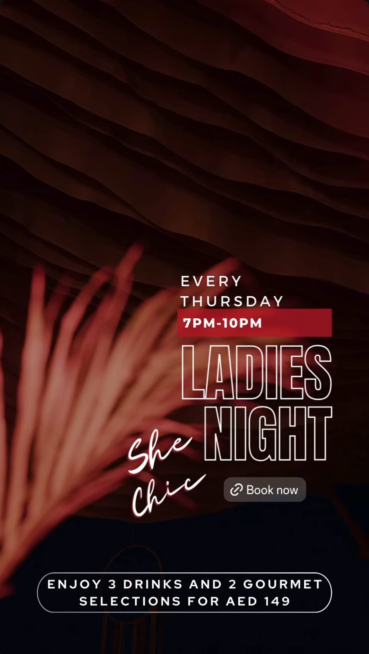 She Chic Ladies Night deal image