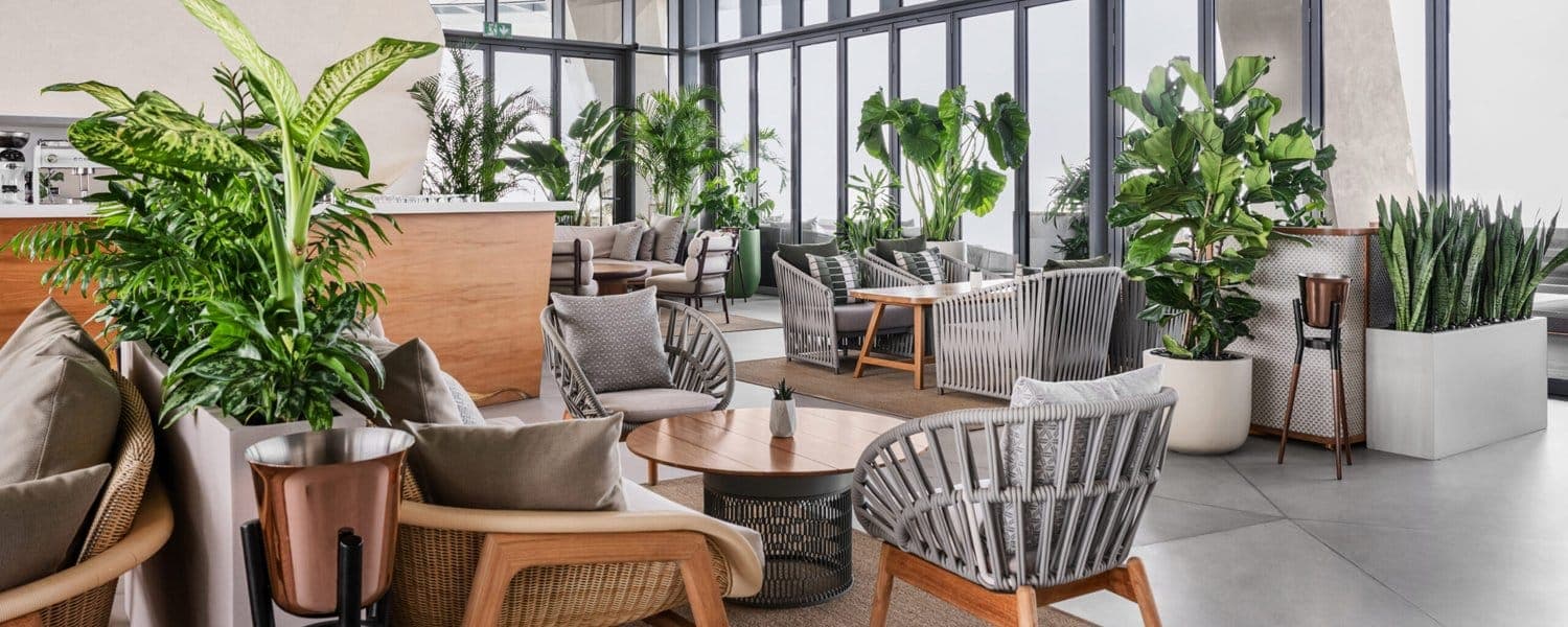 Sunset Lounge Experience deal image