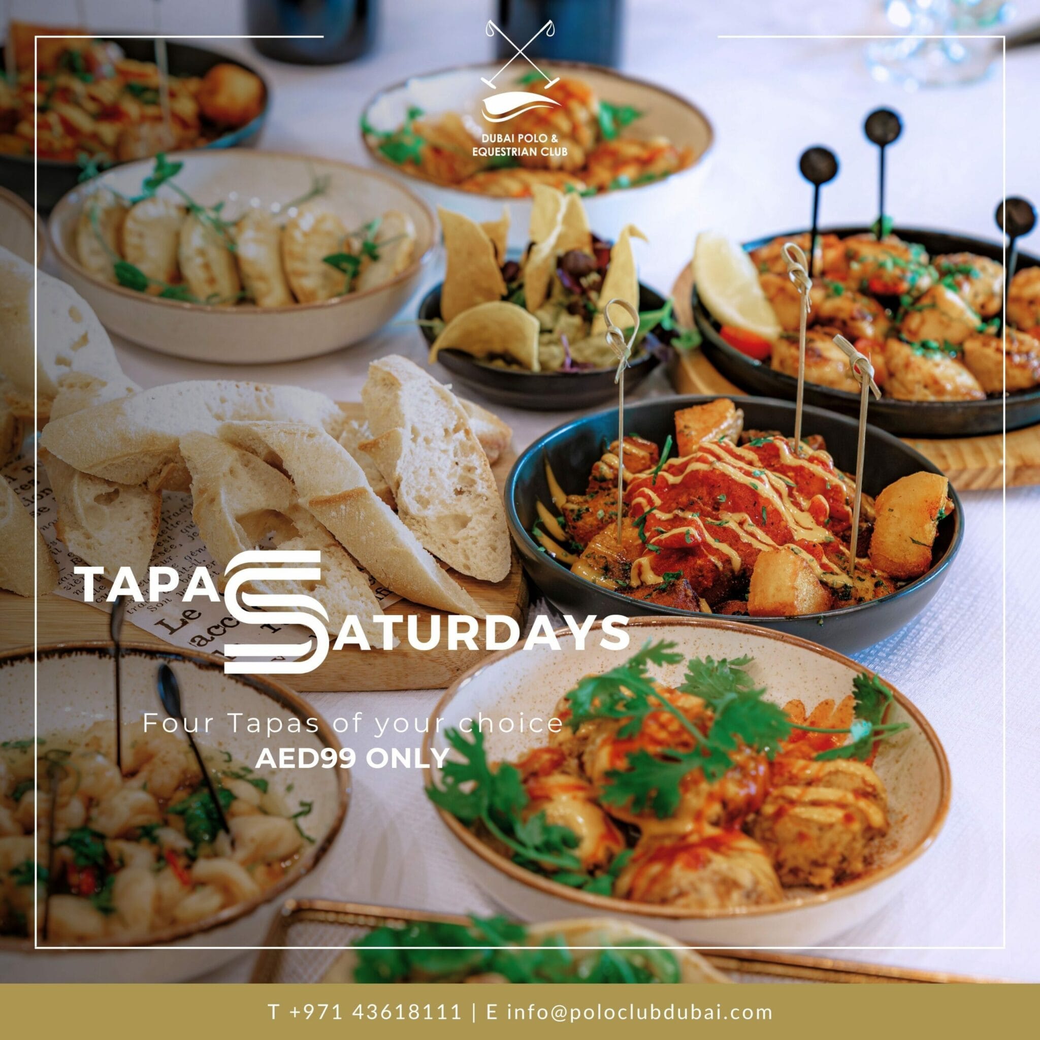 Tapas Saturdays Dubai Polo Bar Dubai Polo & Equestrian Club dizzer
