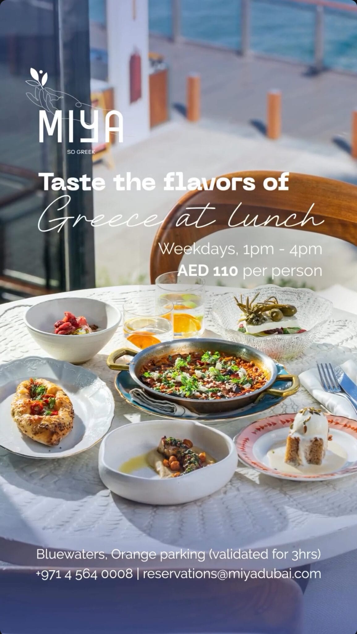 GREEK ODYSSEY LUNCH Miya Bluewaters Island dizzer